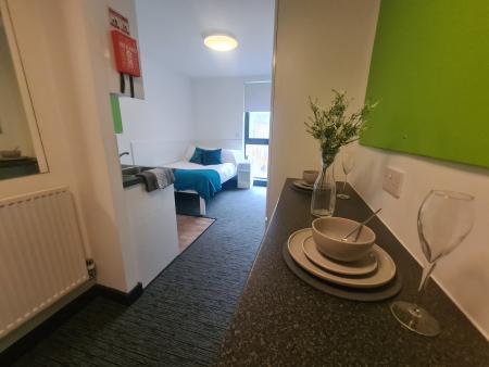 Studio Bronze Student flat to rent on Pitt Street, Newcastle, NE4