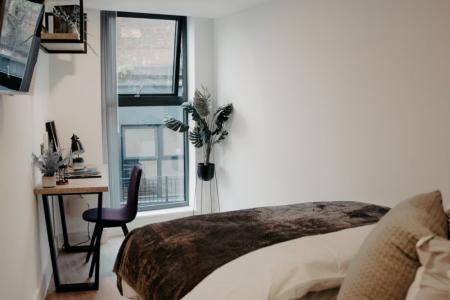 Ensuite Edition III Student flat to rent on Hanley Street, Birmingham, B19