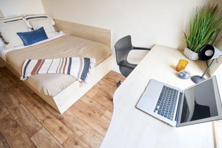 Standard Ensuite 6 bed student flat to rent on Newcastle Street, Sheffield, S1