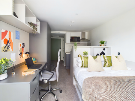 Silver Studio Student flat to rent on Frederick Street, Belfast, BT1