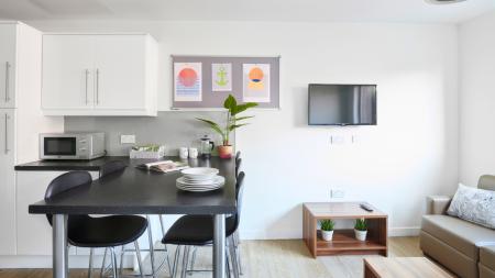 Deluxe Ensuite Student flat to rent on Western Way, Exeter, EX1