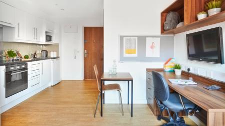 Deluxe Studio Student flat to rent on Western Way, Exeter, EX1