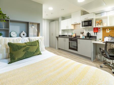Bronze Studio Student flat to rent on 333 - 337 New Cross Road, London, SE14