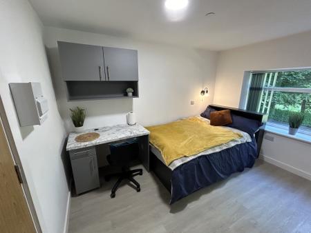 Diamond Studio Student flat to rent on Trafford, Manchester, M16