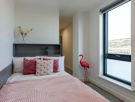Classic En Suite - EPC Band Rating B 1 bed student flat to rent on High Street, Swansea, SA1
