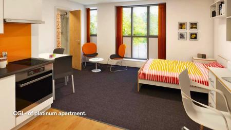 Platinum Apartment Student flat to rent on Ainsley Street, Durham, DH1