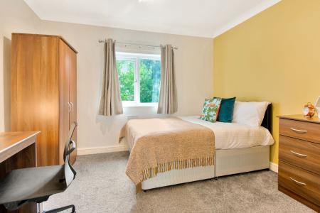 7 Bedroom Apartment