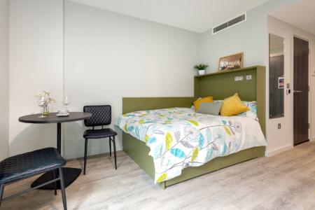 Large Classic Studio Student flat to rent on Long Street, London, E2