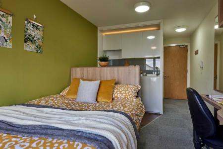 Standard Studio Student flat to rent on Sturge Close, Birmingham, B29