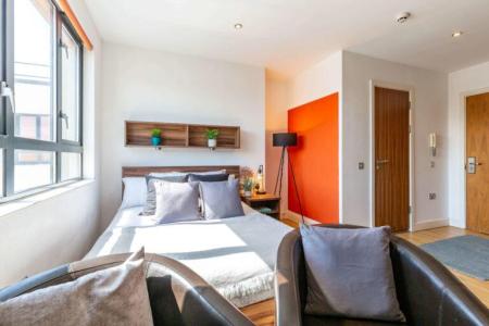 Extra Large Plus Studio Student flat to rent on Dighton Street, Bristol, BS2