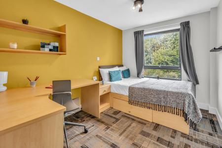 5 Bedroom Apartment