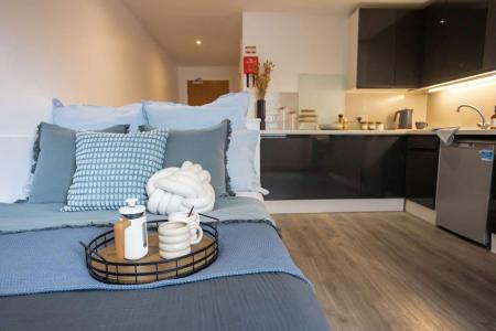 Super Elite Studio - (Extra Large Studio) Student flat to rent on Canterbury, Canterbury, CT1