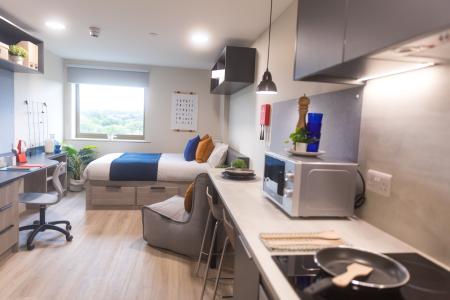 Standard Plus Studio Student flat to rent on Portswood Road, Southampton, SO17