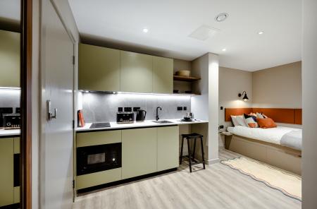 Classic Plus Studio Student flat to rent on Dunedin Street, Edinburgh, EH7