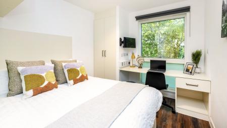 Deluxe Studio Student flat to rent on Hollingdean Road, Brighton, BN2