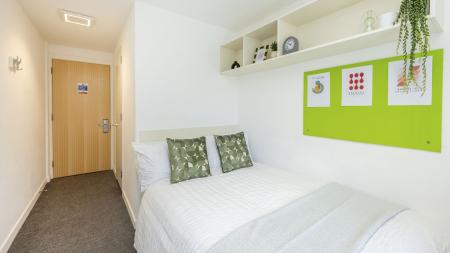 Premium Ensuite Student flat to rent on Hollingdean Road, Brighton, BN2