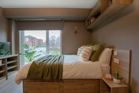 Silver Plus Studio Student flat to rent on Frog Street, Exeter, EX1
