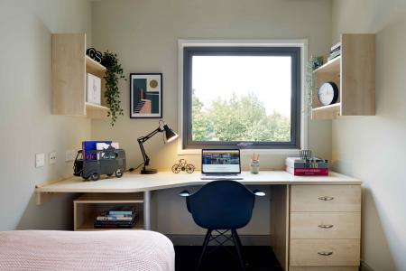 Standard Ensuite Student flat to rent on Alexandra Rd, Plymouth, PL4