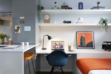 Platinum Studio Student flat to rent on Beaumont Rd, Plymouth, PL4