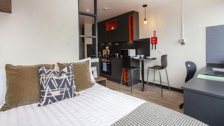 Premium Plus Studio Student flat to rent on Upper North Street, Brighton, BN1