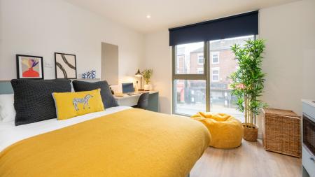Silver Studio Student flat to rent on Alfreton Road, Nottingham, NG7