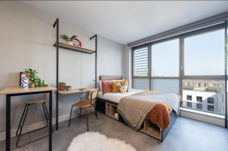 Luxury Studio room