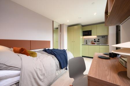 Premium Plus Studio Castle View Student flat to rent on Dunedin Street, Edinburgh, EH7