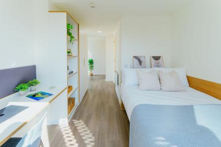 Silver En Suite 8 bed student flat to rent on Bridge Street, Cardiff, CF10