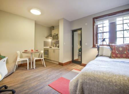 Gold Studio Student flat to rent on Halsmere Road, London, SE5