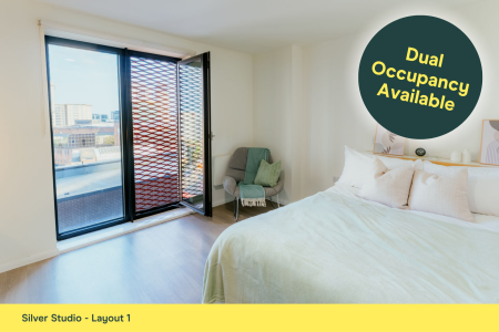 Silver Studio Student flat to rent on Bridge Street, Cardiff, CF10