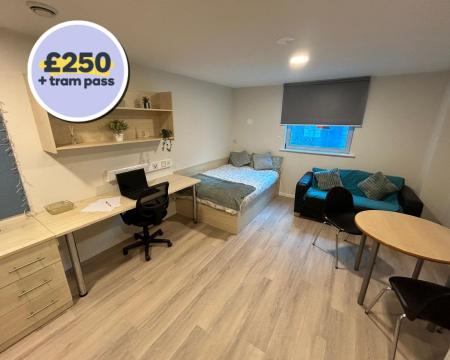 Studio Deluxe Student flat to rent on North Church Street, Nottingham, NG1