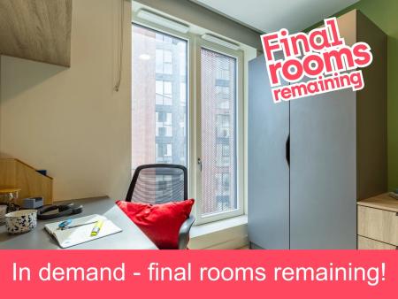Premium En Suite 2 bed student flat to rent on Newmarket, The Liberties, Dublin, D08