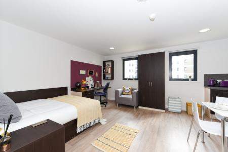 Studio Silver Student flat to rent on New Cut Road, Swansea, SA1