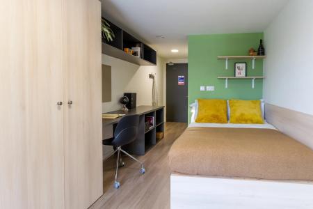 Platinum En Suite 1 bed student flat to rent on Dun Holm House, Unit 8, Durham, DH1