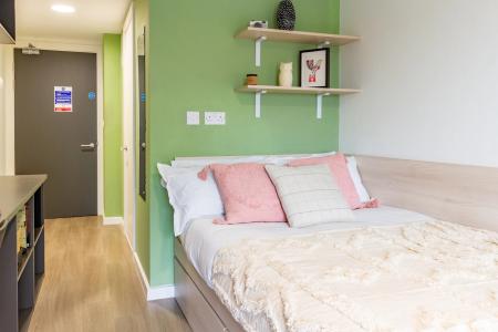 Gold En Suite 1 bed student flat to rent on Dun Holm House, Unit 8, Durham, DH1