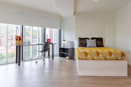 Platinum Studio River View Student flat to rent on Dun Holm House, Unit 8, Durham, DH1