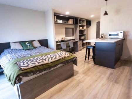 Superior Studio Student flat to rent on Stanley Studios Portsmouth, Coburg Street, Portsmouth, PO1