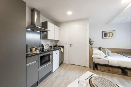 Premium Studio Student flat to rent on Bath Row, Birmingham, B15