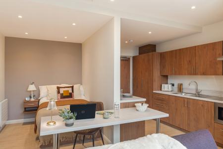 Deluxe Bay Studio Student flat to rent on Elmwood Avenue, Belfast, BT9
