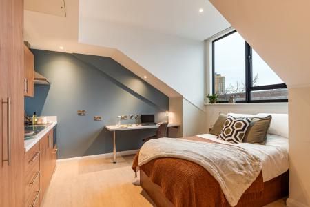 Premium Studio Student flat to rent on Elmwood Avenue, Belfast, BT9