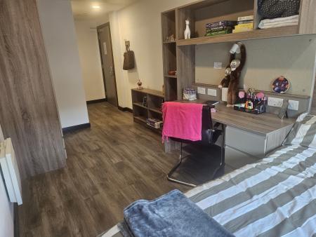Premium Ensuite 5 bed student flat to rent on The Kingsway, Swansea, SA1