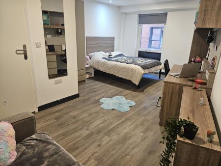 Superior Plus Ensuite 7 bed student flat to rent on The Kingsway, Swansea, SA1