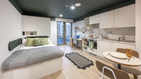 Platinum Accessible Studio Student flat to rent on Lower Gilmore Place, Edinburgh, EH3