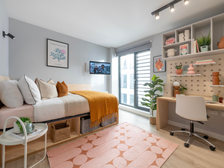 Accessible Studio 1 bed student flat to rent on Alma Place, 16 Library St, Belfast, BT1