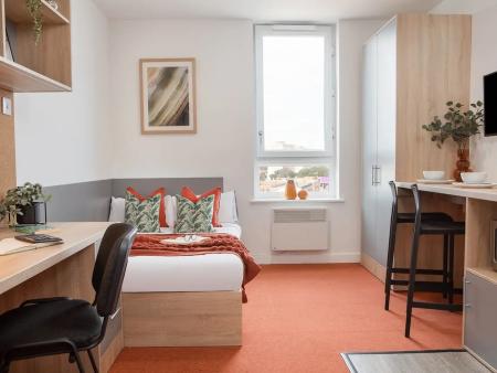 Classic Studio Student flat to rent on Cliveland Street, Birmingham, B19