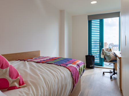 Gold En Suite 1 bed student flat to rent on Ty Nant, 185 High Street, Swansea, SA1