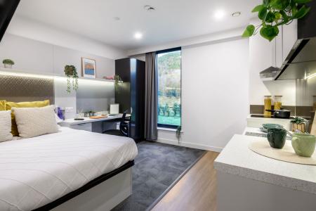 true Accessible Studio River View Student flat to rent on Morfa Road, Swansea, SA1