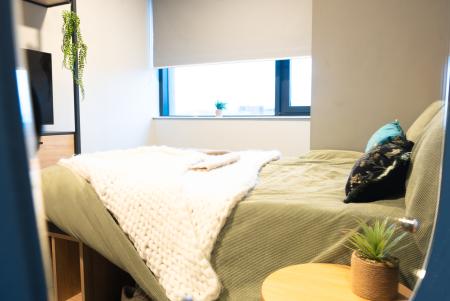 Social Townhouse Room Plus room