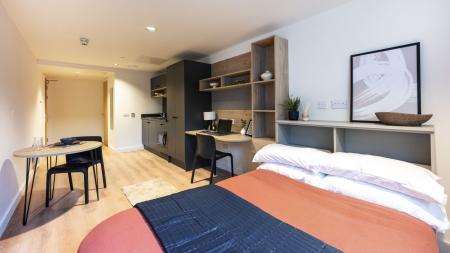 Deluxe Studio Student flat to rent on East Newington Place, Edinburgh, EH9