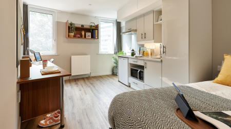 Gold Plus Studio Student flat to rent on North End Road, London, HA9